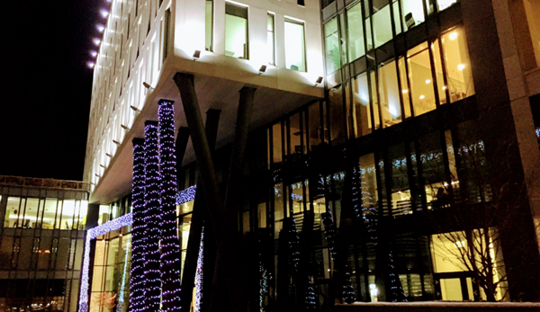GVC Office 2